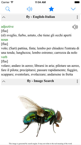 Italian Dictionary Translator