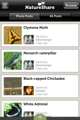 Audubon Insects and Spiders – A Field Guide to North American Insects and Spiders screenshot 4