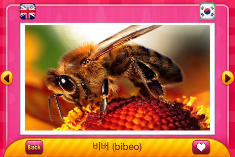 동물아이 : Korean - English Animals And Tools for Babies Free screenshot 4