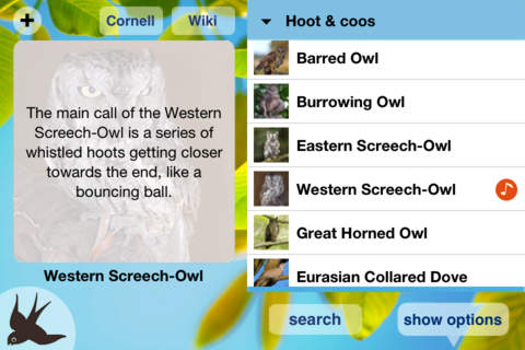 Chirp! Bird Song USA screenshot 2