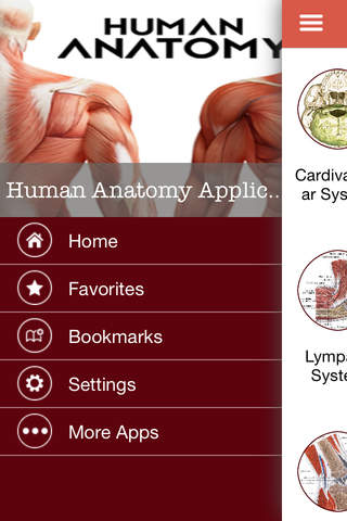 Anatomy Human Apps 2015 screenshot 2