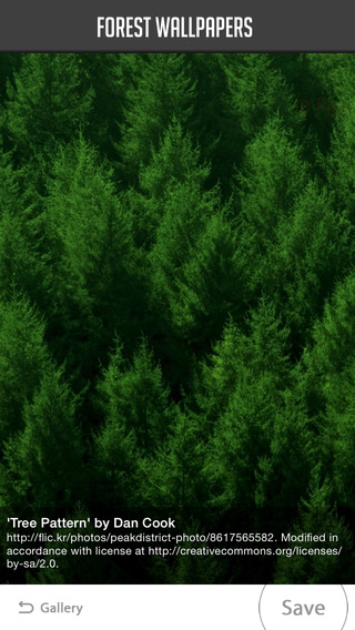 【免費生活App】Forest Wallpapers-APP點子