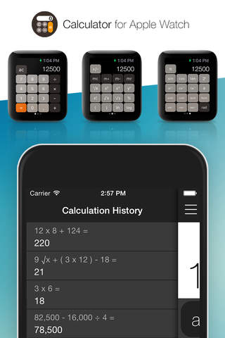 Calculator for Apple Watch screenshot 2