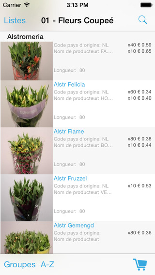 【免費商業App】Roobos Fleurs et Plantes-APP點子