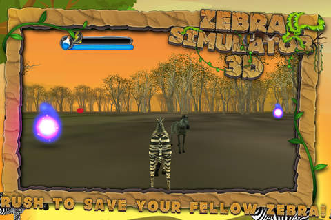 Zebra Wildlife Simulator 3D screenshot 2