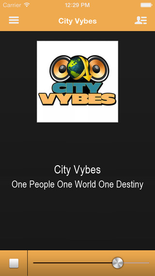 City Vybes