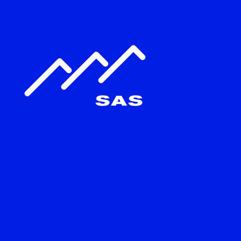 SAS Console LOGO-APP點子