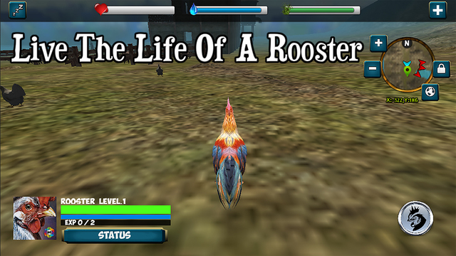 免費下載遊戲APP|Rooster Simulator app開箱文|APP開箱王