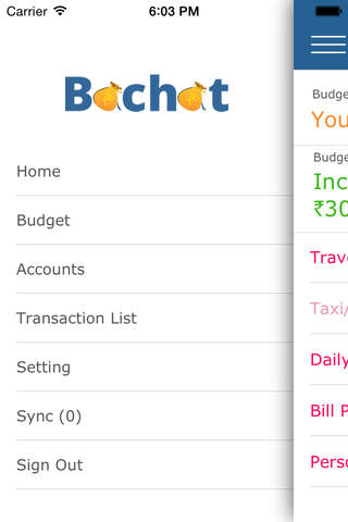Bachat - Money Manager screenshot 2