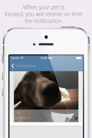 PetDetective screenshot 2