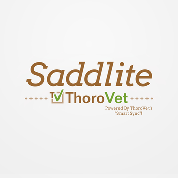 Saddlite V2 SS LOGO-APP點子