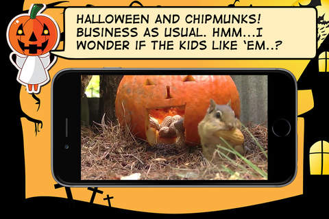 Guess & Spell: Halloween screenshot 4