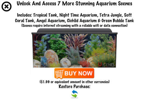 Aquarium HD : Fish Scenes screenshot 4