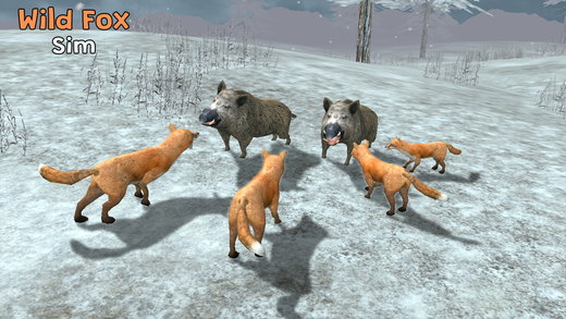 Wild Fox Pro Sim 3D