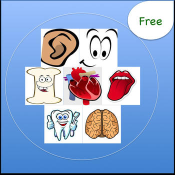 Body Quizzes For Kids Free 教育 App LOGO-APP開箱王