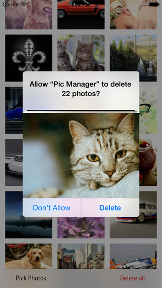 Pic Manager - Fast Delete