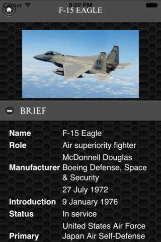 F-15 Eagle FREE screenshot 3