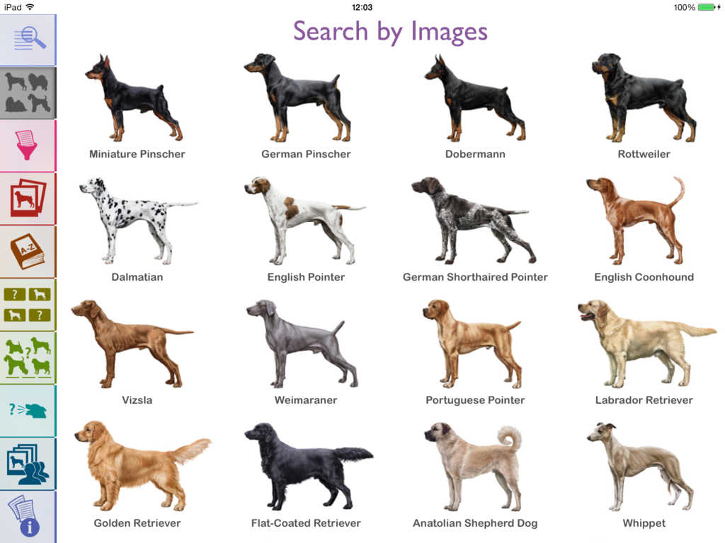 App Shopper: Dogs - Identification Guide (Reference)