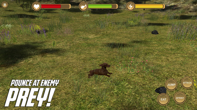 【免費遊戲App】Dachshund Simulator HD Animal Life-APP點子