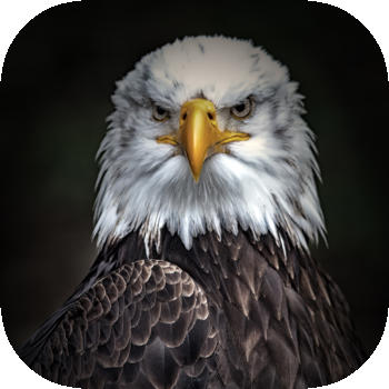 Animal Wallpapers, Themes & Backgrounds - Free Animals HD Retina Images 生活 App LOGO-APP開箱王