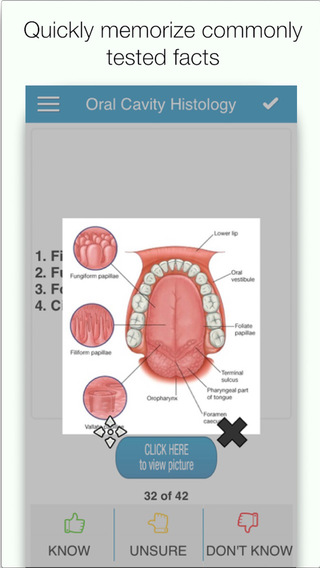 NBDE Dental Board Anatomy Histology
