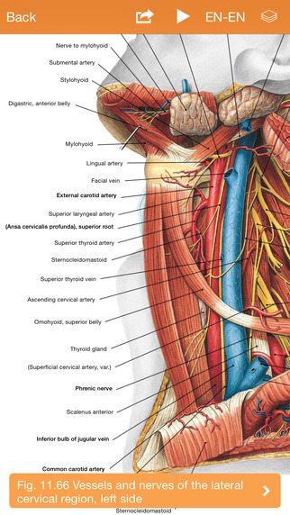 【免費醫療App】Sobotta Anatomy Atlas Free-APP點子