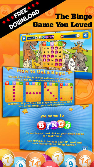BINGO All UK - Play Online Casino and Gambling Card Game for FREE