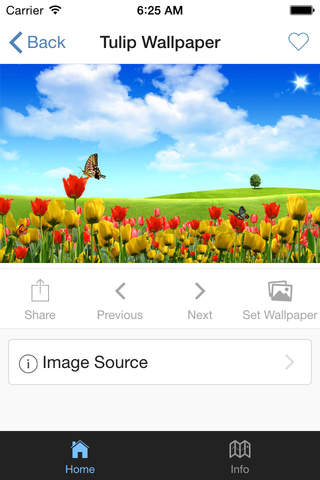 Tulip Wallpaper screenshot 2