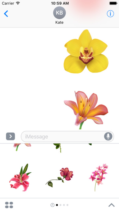 Flowers Collection Stickers for iMessage screenshot 2