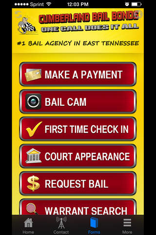Cumberland Bail screenshot 3