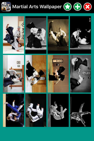 Martial Arts Wallpaper screenshot 3