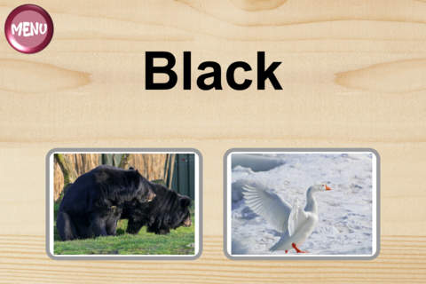 Preschool Challenge (Lite) Education Kids Will
