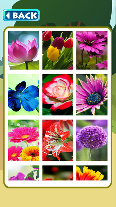 Beauty Games Jigsaw Puzzles Page Flower Version screenshot 2