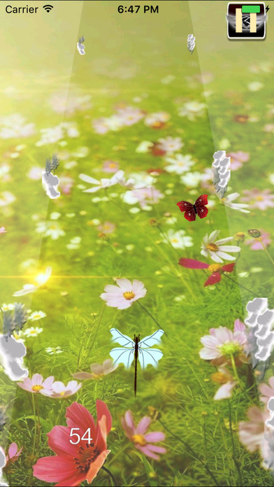 A Dragon Fly Traveling In The Evening screenshot 2