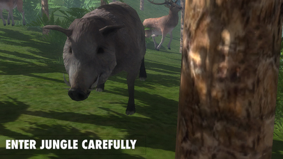 VR Visit 3D Jurassic Forest screenshot 4