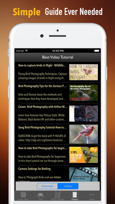 Bird Photography Guide-Creative Photography screenshot 2
