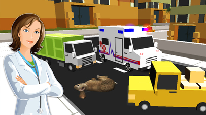Ambulance Simulator Duty Drive :Pet Rescue 3D 2017 screenshot 4