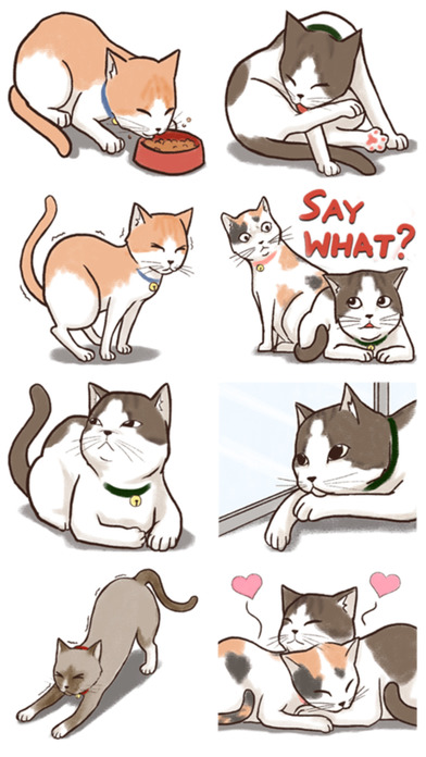Gentle Cats Stickers! screenshot 4