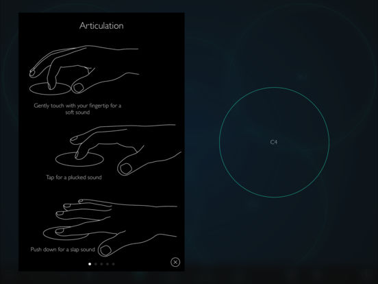 iPad Screenshot 2