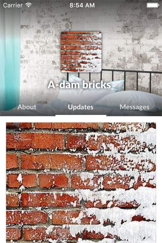 A-dam bricks by AppsVillage screenshot 2