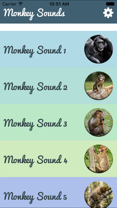 Monkey Sounds - Funny Sounds for kid screenshot 2