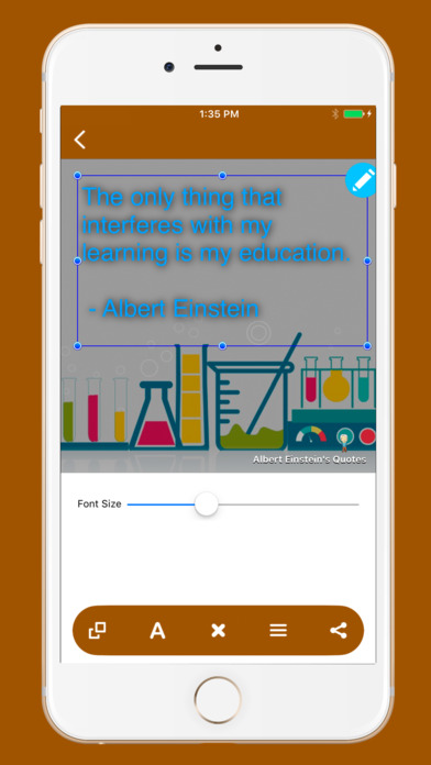 Albert Einstein's Quotes screenshot 3
