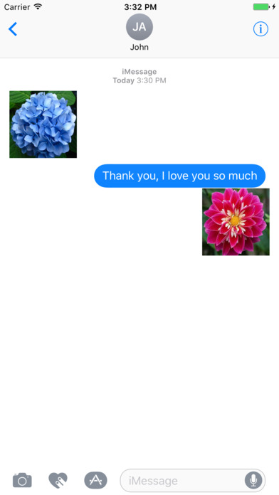 Flowers For Lovers screenshot 2