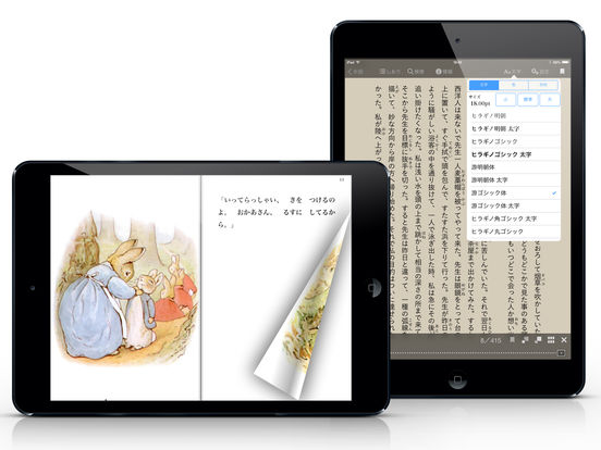 iPad Screenshot 2