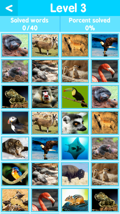 kids pics quiz : animal alphabet learning screenshot 3
