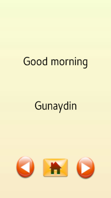 Turkish Travel Phrases screenshot 2