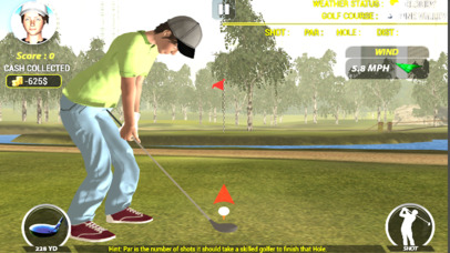Golf Simulator 3d screenshot 2