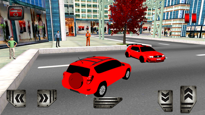 Drive City Prado Pro screenshot 2