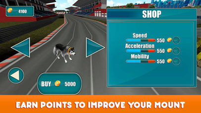 Dog Racing Tournament 2 screenshot 3
