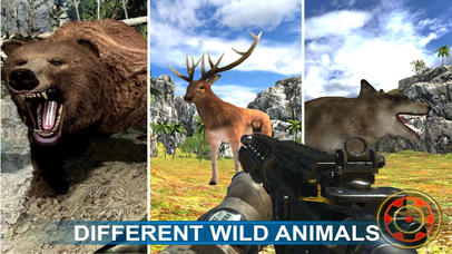 Animals Hunter - Dense Jungle Adventure screenshot 3